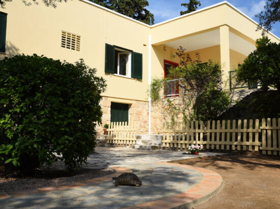 My Learning Home – Δίγλωσσος παιδικός σταθμός και Νηπιαγωγείο