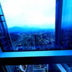 TERRA COGNITA - 04/11/2024
